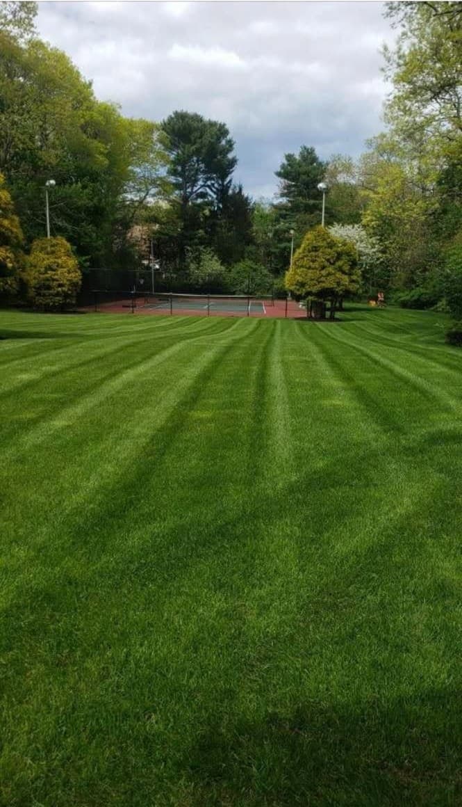 Fresh mulch bed curving along a driveway, edged clean against the lawn.