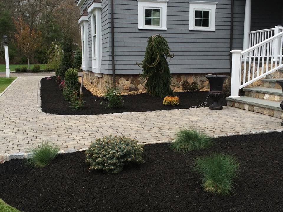 Paver walkway and dark mulch beds with ornamental grasses at a gray colonial.